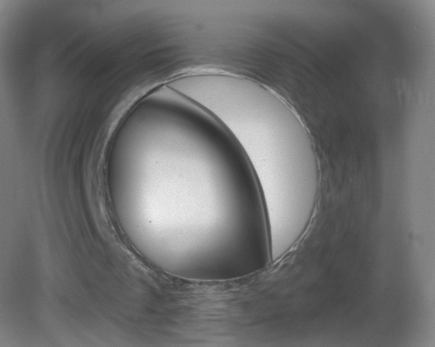 X0000083050289200702021017