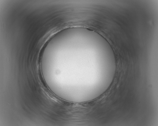 X0000083050290200702021017