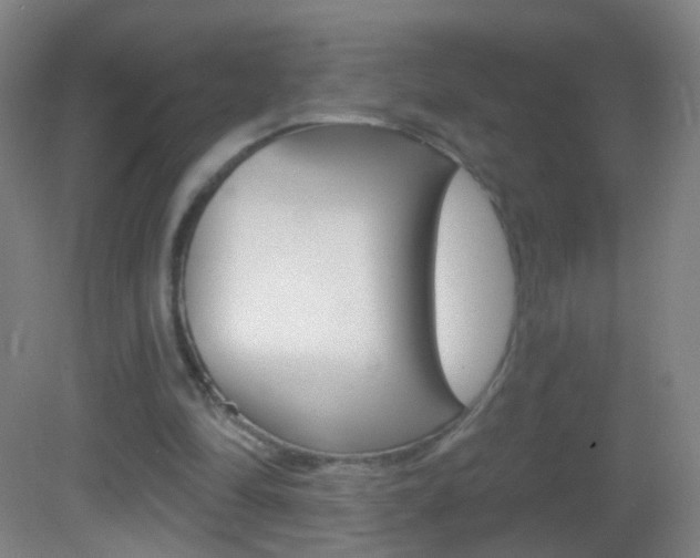 X0000083050294200702021017