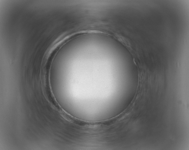 X0000083050295200702021017