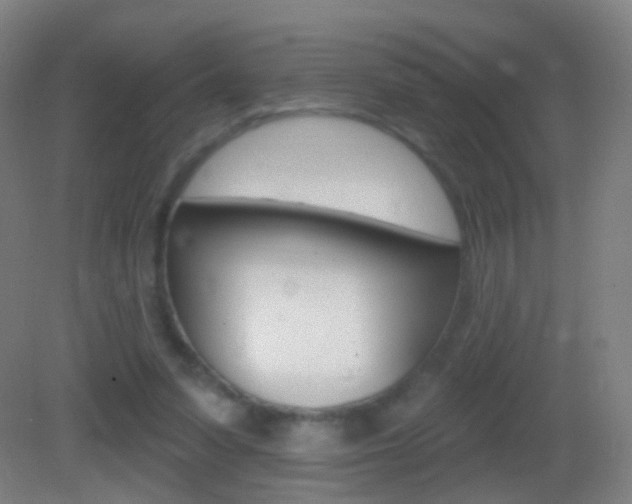 X0000083050303200702021017