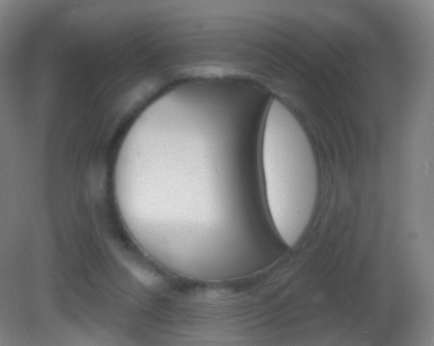 X0000083050304200702021017