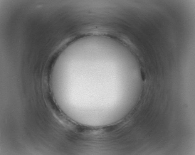 X0000083050306200702021017