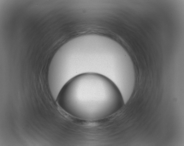 X0000083050313200702021017