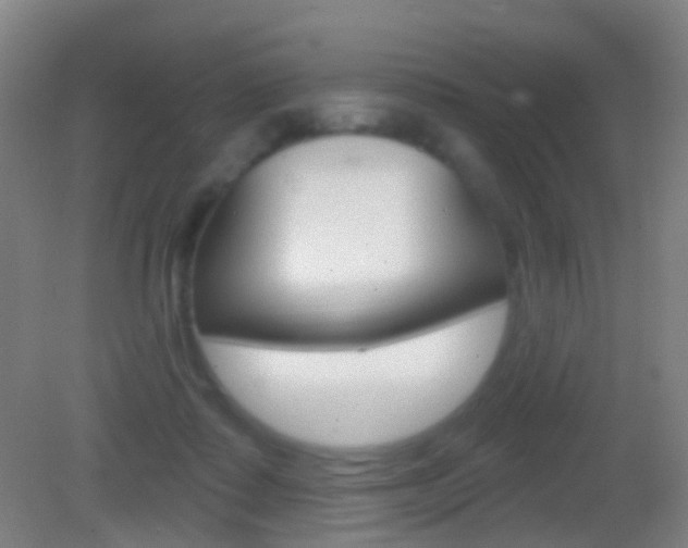 X0000083050315200702021017