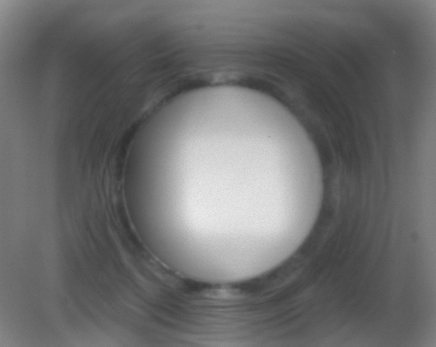X0000083050316200702021017