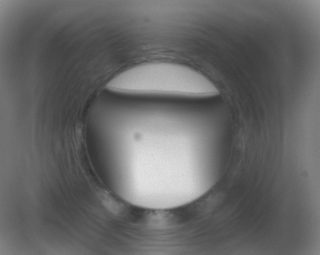 X0000083050321200702021017