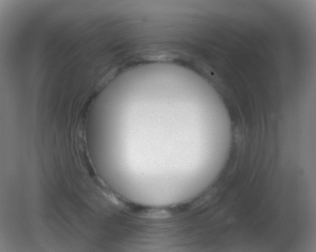 X0000083050322200702021017