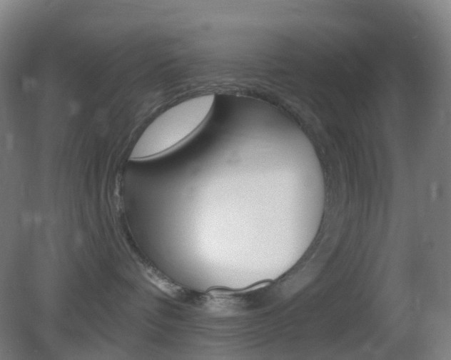 X0000083050336200702021016