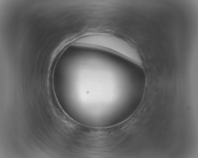 X0000083050340200702021016