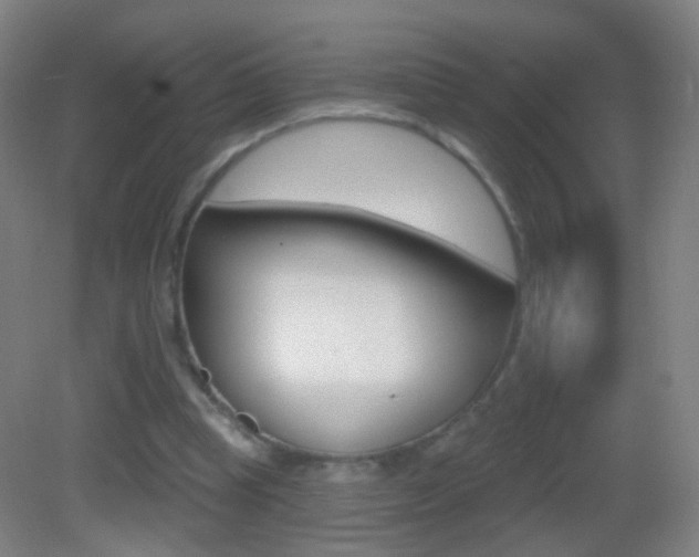 X0000083050345200702021016