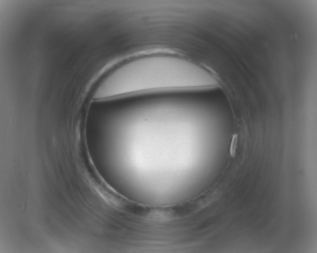 X0000083050350200702021016
