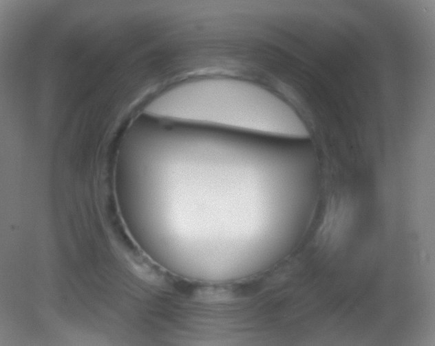 X0000083050354200702021016