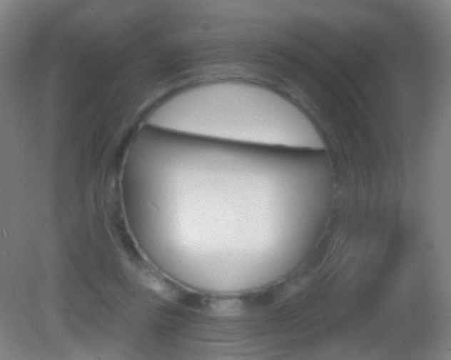 X0000083050355200702021016