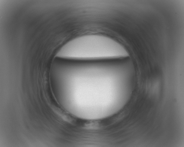 X0000083050362200702021016