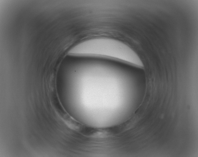 X0000083050364200702021016