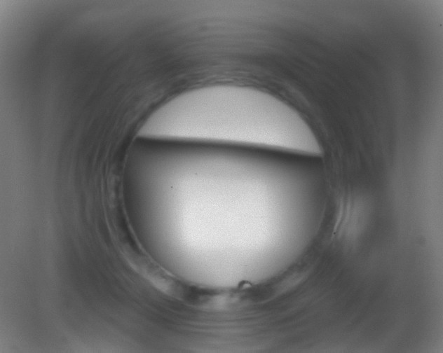 X0000083050366200702021016