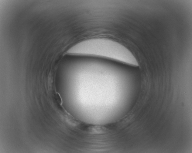 X0000083050372200702021016