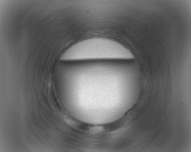 X0000083050374200702021016