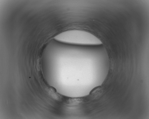 X0000083050378200702021016