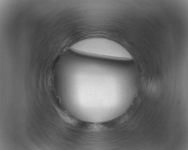 X0000083050379200702021016