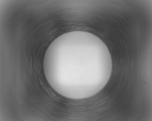 X0000083050380200702021016