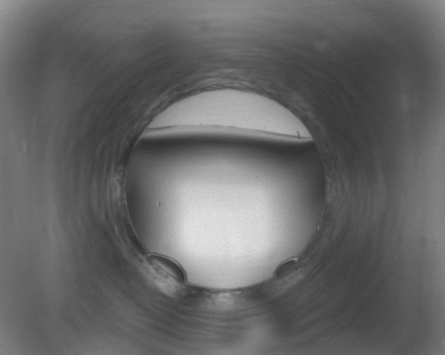 X0000083050382200702021016