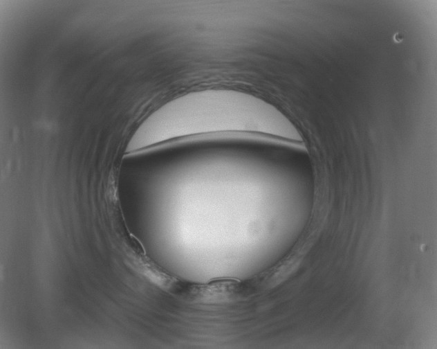 X0000083050384200702021016
