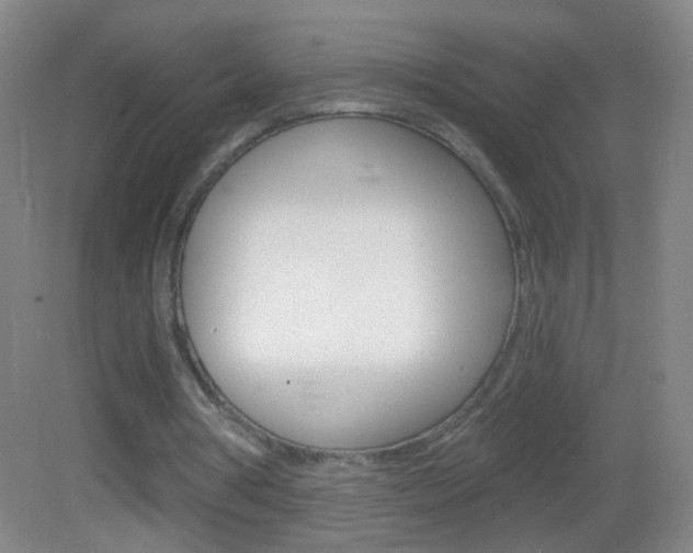X0000083050386200702021016