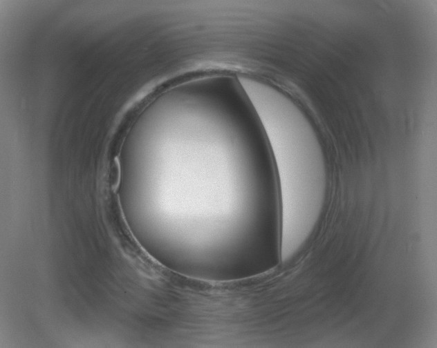 X0000083050388200702021016