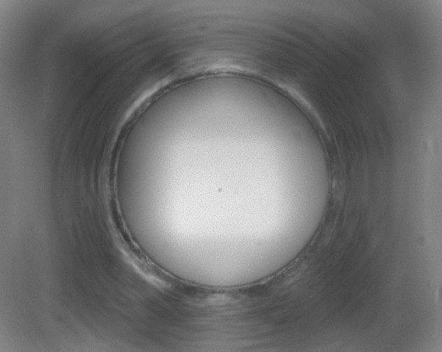 X0000083050390200702021015