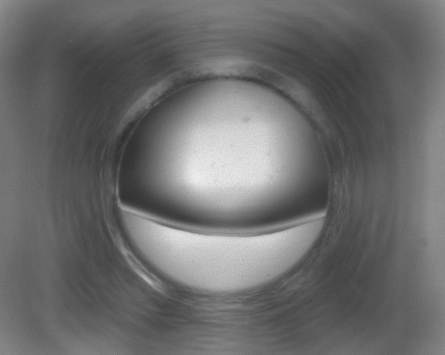 X0000083050397200702021015