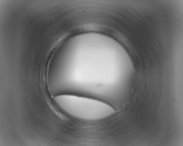 X0000083050398200702021015