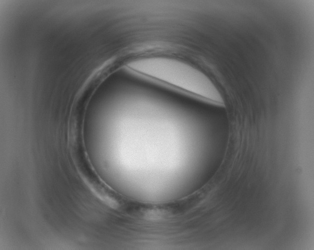 X0000083050400200702021015
