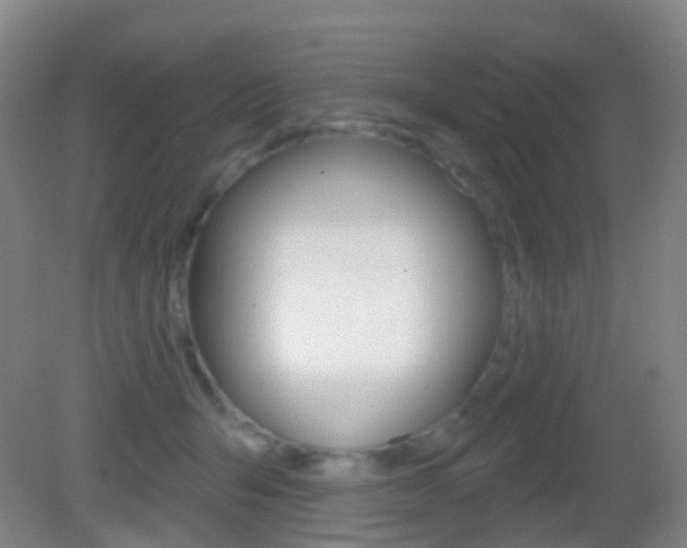 X0000083050415200702021015