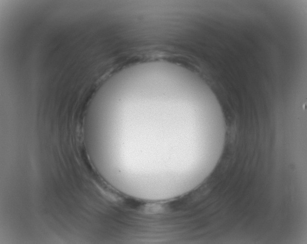 X0000083050418200702021015
