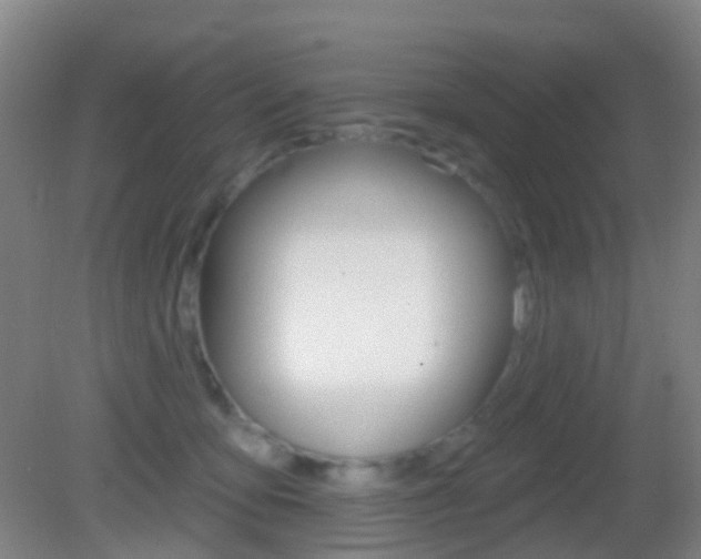 X0000083050419200702021015