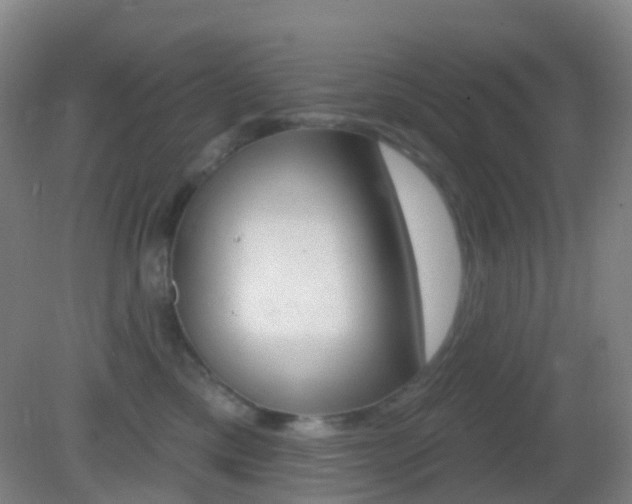 X0000083050425200702021015