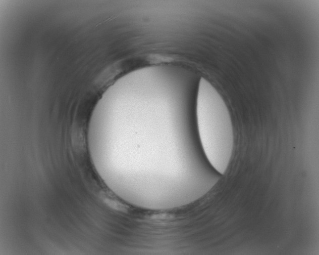 X0000083050426200702021015