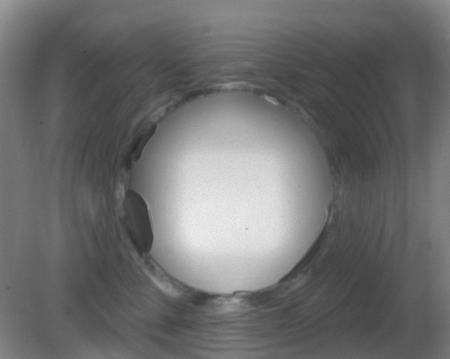 X0000083050427200702021015