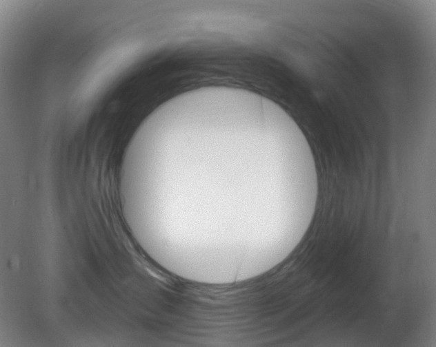 X0000083050431200702021015
