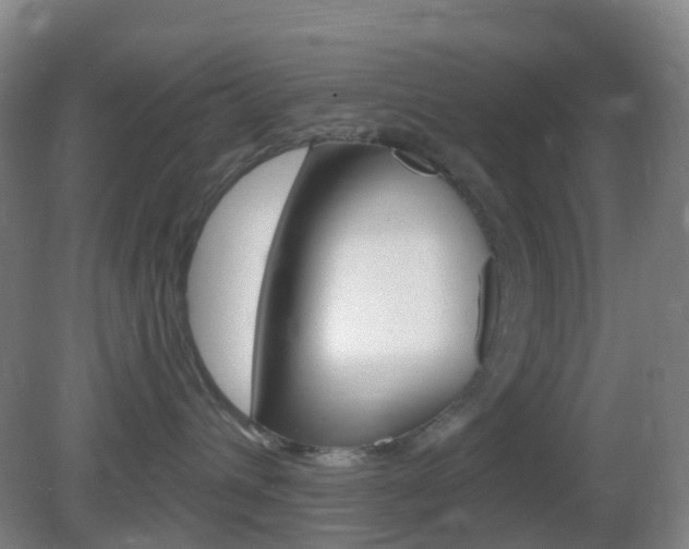 X0000083050432200702021015