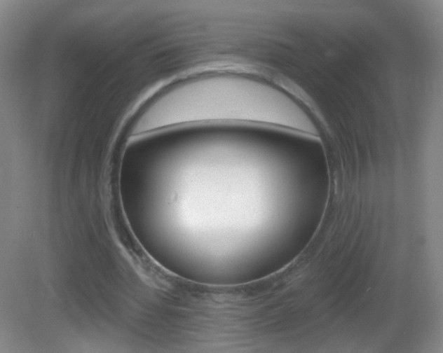X0000083050436200702021014