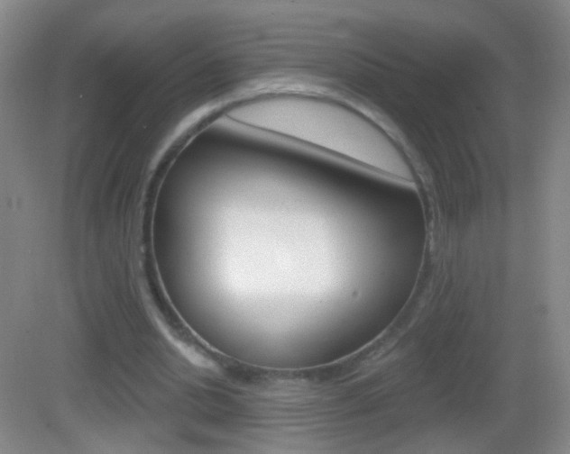 X0000083050438200702021014