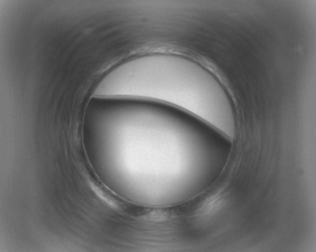 X0000083050441200702021014