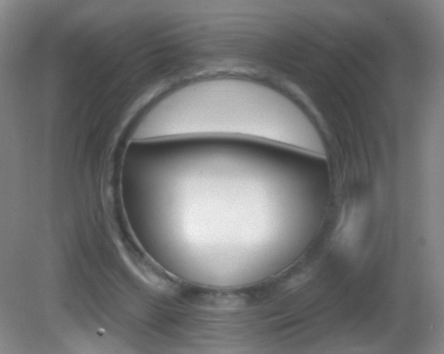 X0000083050443200702021014