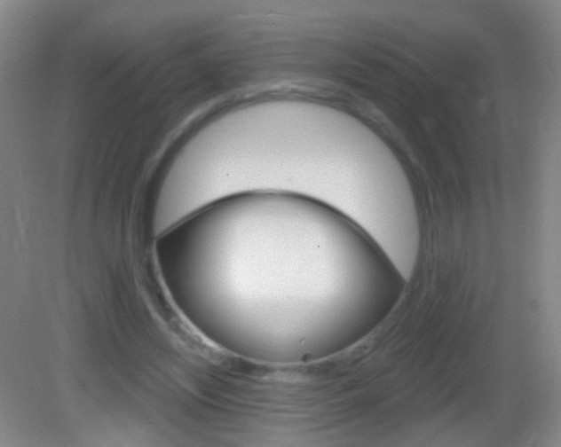 X0000083050444200702021014