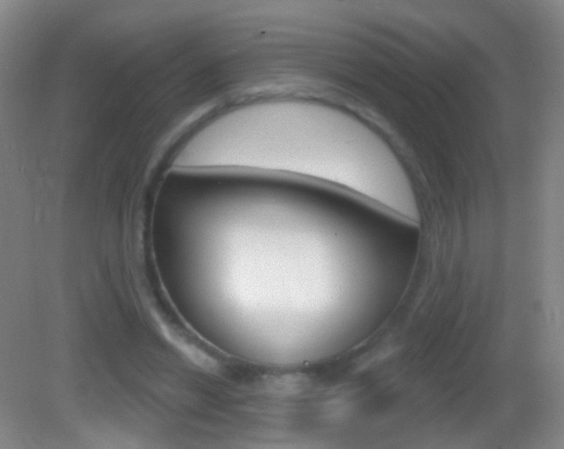 X0000083050446200702021014