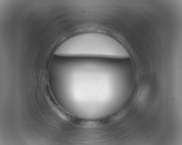 X0000083050449200702021014