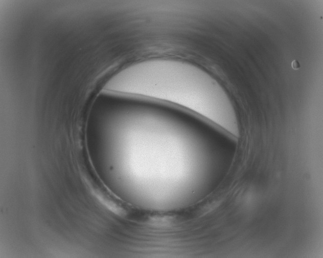 X0000083050450200702021014